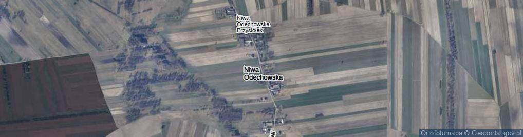 Zdjęcie satelitarne Niwa Odechowska ul.